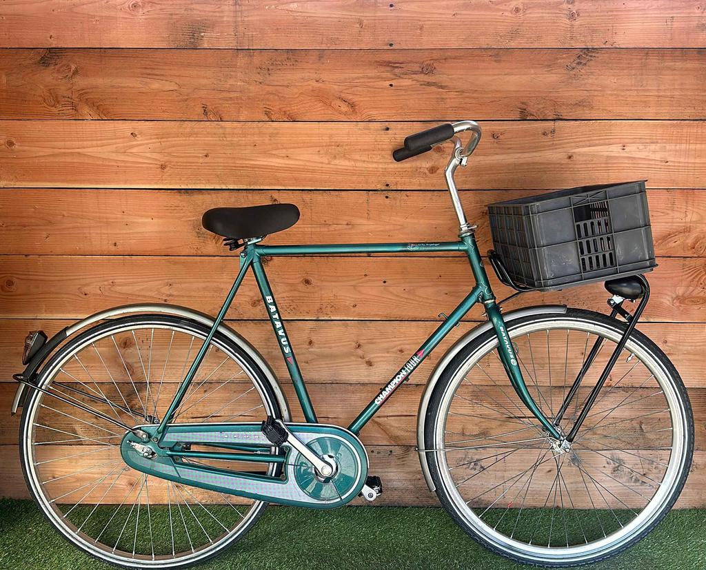 Batavus Champion Tour 28inch 61cm