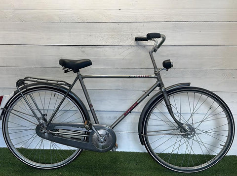 Batavus Torino