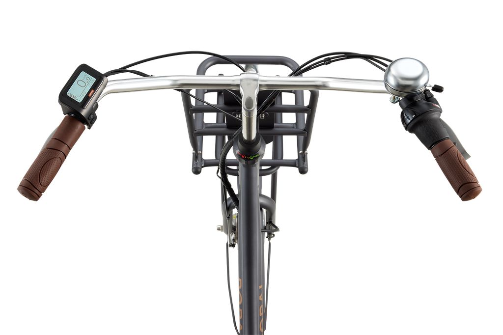 Daily Dutch Prestige E-N7 28 inch E-Bike Cosmic Sand