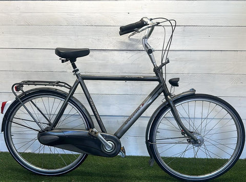 Gazelle Accent