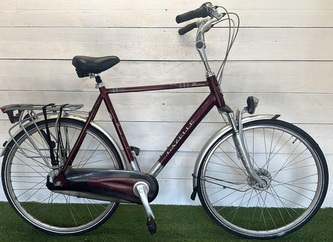 Gazelle Davos