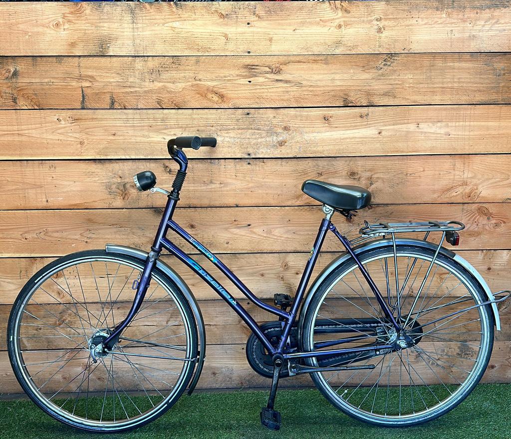 Gazelle Trendy 28inch 53cm