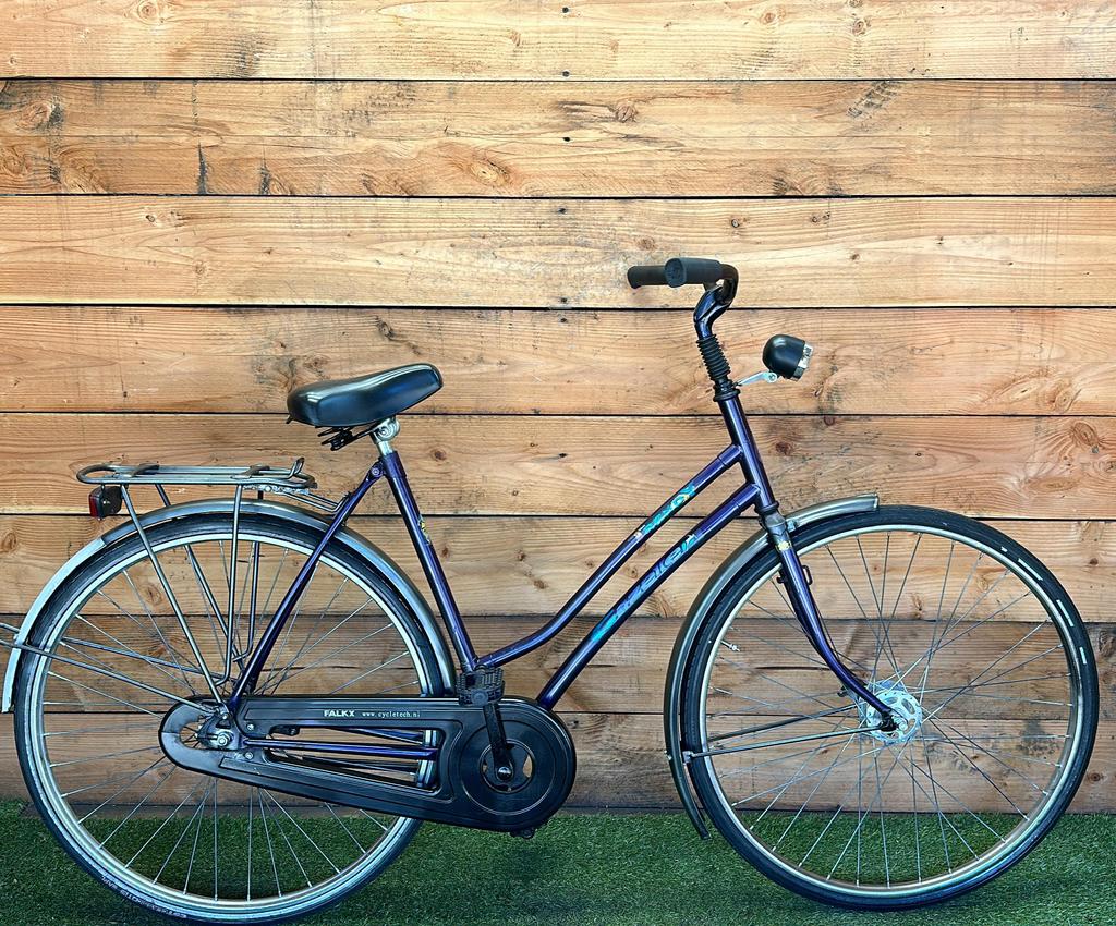 Gazelle Trendy 28inch 53cm