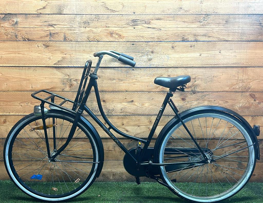 Gouden Leeuw 28inch 57cm