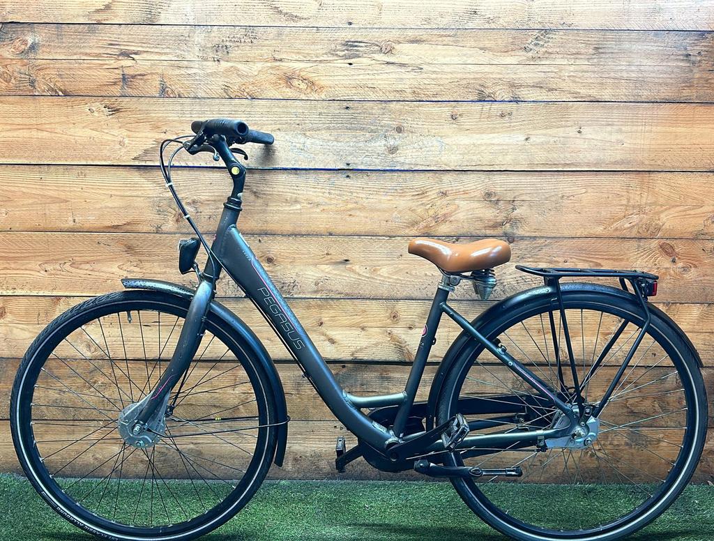 Pegasus Lucca 3v 28inch 45cm