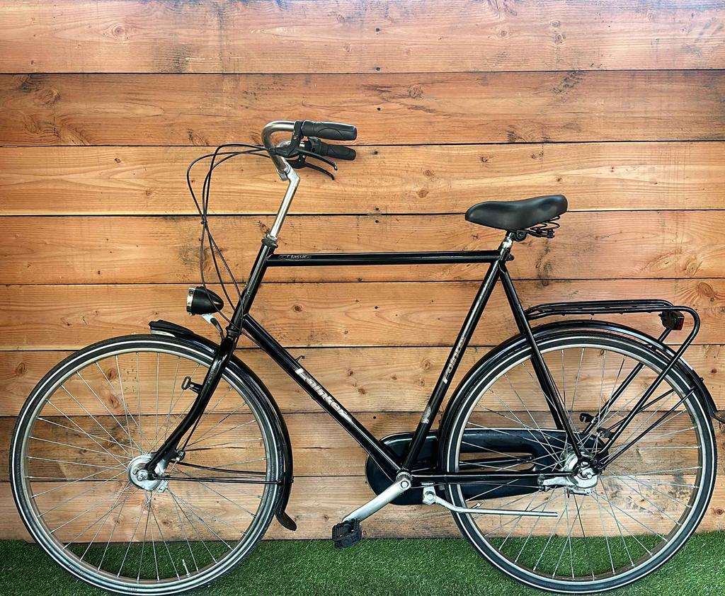 Pointer Classica 3v 28inch 64cm